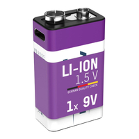 9V Blokbatterij - 340 mAh - Li-Ion - Oplaadbaar via usb-c - Kabel inbegrepen - Paars
