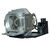 SONY VPL-EX50 Projector Lamp Module (Original Bulb Inside)