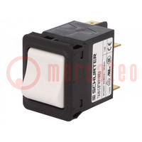 Circuit breaker; Urated: 240VAC; 60VDC; 10A; DPST; Poles: 2; 34x26mm