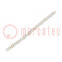 LED strips; neutraal wit; 2216; 24V; LED/m: 280; 10mm; witte PCB