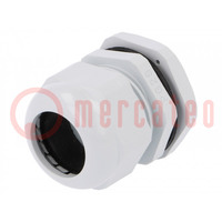 Cable gland; PG29; IP67; polyamide; grey