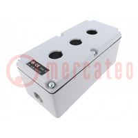 Enclosure: for remote controller; IP65; X: 92mm; Y: 205mm; Z: 86mm