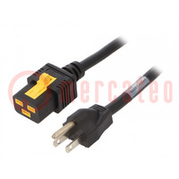 Cable; 3x14AWG; IEC C19 female,NEMA 5-15 (B) plug; PVC; 6m; black