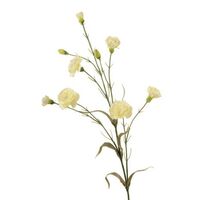 Artificial Silk Carnation Spray - 71cm, Cream