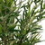 Kunstpflanze / Kunstbaum BAMBUS 165 cm Kunststoff grün hjh OFFICE