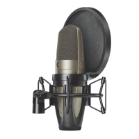 Shure KSM42/SG Mikrofon Gold Studio-Mikrofon