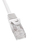 Phasak Cable de Red 100% Cu Cat.6 UTP Sólido Gris 0.25M