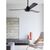 CALYPSO ceiling fan with wall switch