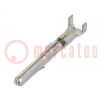 Contact; male; brass; tinned; 0.5÷1mm2; Commercial MATE-N-LOK
