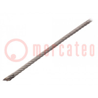 Rope; acid resistant steel A4; Ørope: 4mm; L: 10m; 283kg