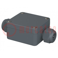 Enclosure: junction box; X: 58mm; Y: 64mm; Z: 34mm; polyamide; IP65