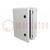 Enclosure: wall mounting; X: 252mm; Y: 352mm; Z: 142mm; ABS; grey