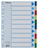 Plastikregister Blanko, A4, PP, 10 Blatt, farbig