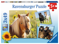 Ravensburger 4005556080113 Legpuzzel 49 stuk(s) Dieren