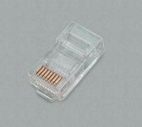 BKL Electronic 143042 1 pz. wire connector RJ45 Gold, Transparent