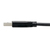 Tripp Lite U428-006 Cable USB-C a USB-A (M/M), USB 3.1 Gen 1 (5 Gbps), Compatible con Thunderbolt 3, 1.83 m [6 pies]