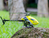 OMPHOBBY M2 EVO ferngesteuerte (RC) modell Helikopter Elektromotor