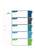 Durable 5 Part Numbered Tab Punched Index Dividers + Cover | A4+ | Colour Coded