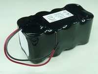 Pack(s) Batterie alcaline ST2/SG/ 12V 19.76Ah F150