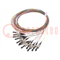 Pigitail a fibra ottica; OM2; ST/UPC; 2m; Cavo Ottico: 50/125um