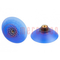 Suction cup; 100mm; G3/8-IG; Shore hardness: 85; 96cm3; SAX