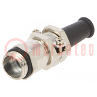 Cable gland; with strain relief; PG7; IP65; brass; metallic