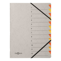 Pagna 44312-12 Schnellhefter Grau, Orange Pappe A4