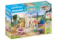 Playmobil 71354 játékszett