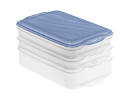 Rotho RONDO Rectangulaire contenant Bleu, Transparent