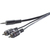 SpeaKa Professional SP-7869916 câble audio 5 m 2 x RCA 3,5mm Noir