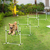 PawHut D07-018WT dog/cat training solution