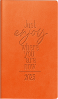 RIDOIDE Agenda Just Enjoy 2025 16915025.25 1W/2S ML 8.7x15.3cm