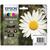 Epson 18 Inkjet Cartridges Daisy Black 5.3ml Cyan/Magenta/Yellow 3.3ml Ref C13T18064012 [Pack 4]