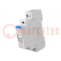 Relay: installation; monostable; NO; Ucoil: 48VDC; 20A; -40÷40°C