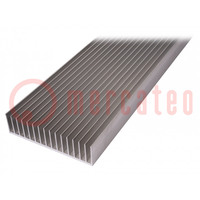 Heatsink: extruded; grilled; natural; L: 1000mm; W: 190.5mm; H: 50mm
