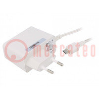 Power supply: switching; mains,plug; 5VDC; 2A; 10W; Plug: EU; 78.7%