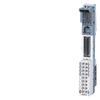 Siemens 6ES7193-6BP00-0DA0 Elektrischer Kontakt