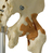 Rüdiger-Anatomie A204.1 Medizinische Trainingspuppe