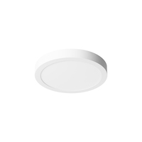 PROLUMIA 40001136 PRO-CEILING 300X39MM OPBOUW