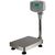 Floor check weighing scales, capacity 75kg x 5g