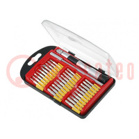 Kit: screwdrivers; hex key,Phillips,Pozidriv®,slot,Torx®; bag