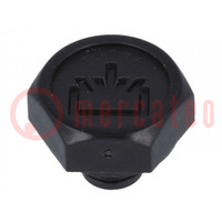 Fill plug; without side hole; Thread: G 1/8"; Overall len: 16mm