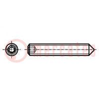 Screw; M2.5x8; 0.45; Head: without head; hex key; DIN 914; ISO 4027