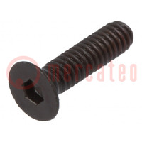 Screw; M2x8; 0.4; Head: countersunk; hex key; HEX 1,3mm; steel