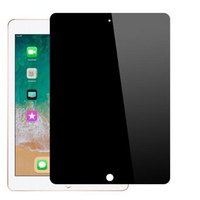 JLC iPad Pro 11 2024 Privacy Tempered Glass