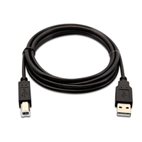 V7 Cable USB negro con conector USB 2.0 A macho a USB 2.0 B macho 2m 6.6ft