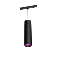 Philips Hue White and colour ambience Perifo cylinder pendant