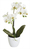 Botanic-Haus 206661-104 Künstliche Pflanze Indoor Künstliche Blütenpflanze