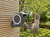 Gardena RollUp Montowany do ściany wózek na wąż ogrodowy Automatyczny Czarny, Szary
