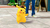 Nintendo Detective Pikachu Returns Standard Traditional Chinese, German, English, Spanish, French, Italian, Japanese, Korean Nintendo Switch